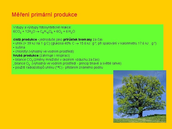 Měření primární produkce Vstupy a výstupy fotosyntetické reakce: 6 CO 2 + 12 H