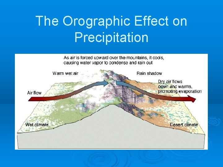 The Orographic Effect on Precipitation 