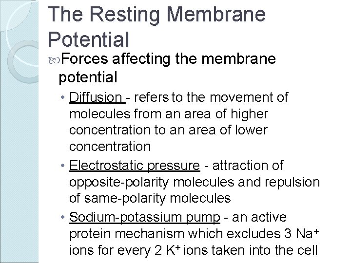 The Resting Membrane Potential Forces affecting the membrane potential • Diffusion - refers to