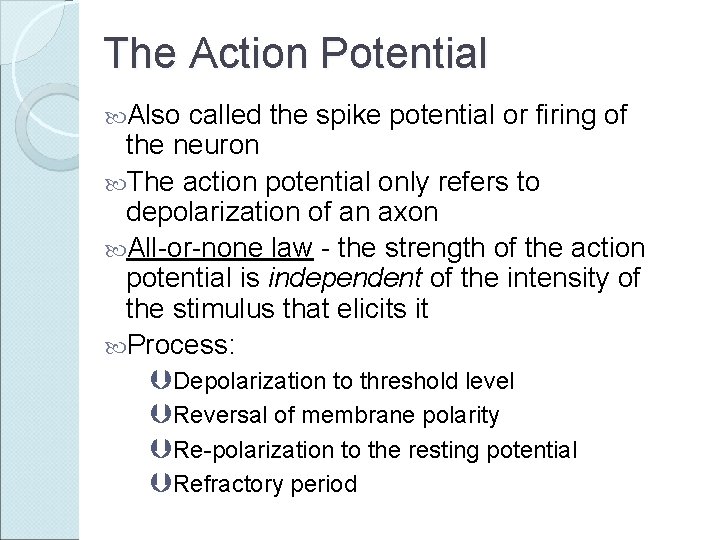 The Action Potential Also called the spike potential or firing of the neuron The