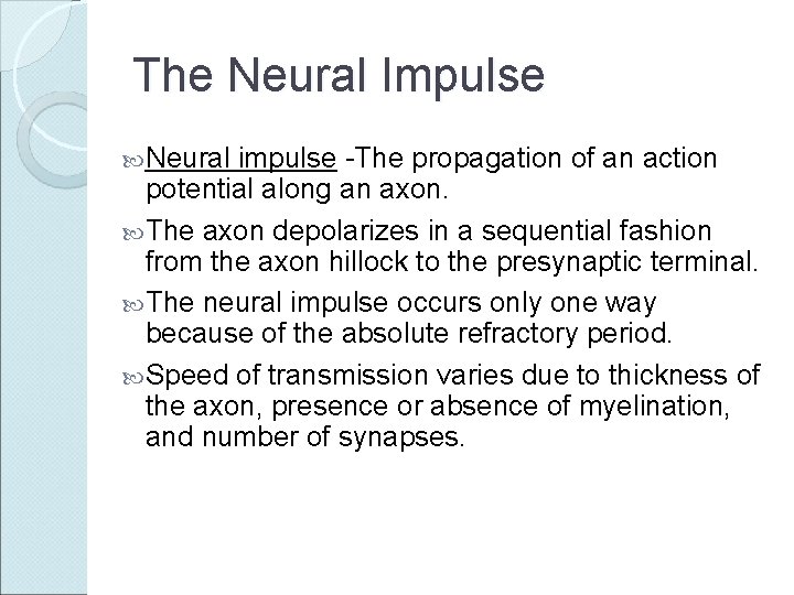 The Neural Impulse Neural impulse -The propagation of an action potential along an axon.