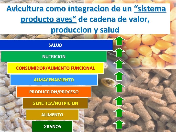  Avicultura como integracion de un “sistema producto aves” de cadena de valor, produccion