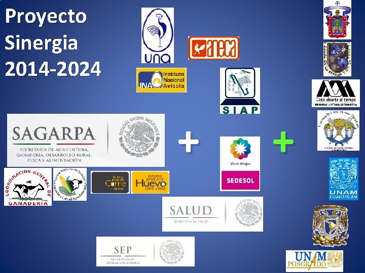 Proyecto Sinergia 2014 -2024 + + 