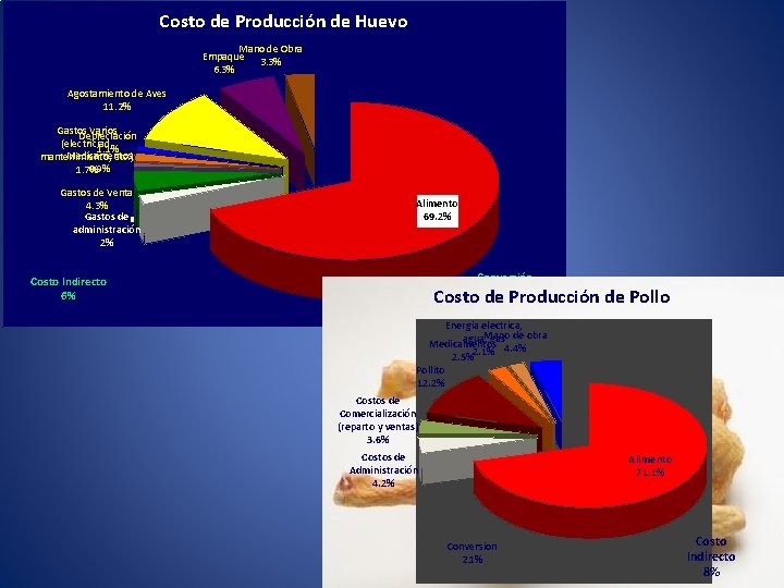 Costo de Producción de Huevo Mano de Obra Empaque 3. 3% 6. 3% Agostamiento
