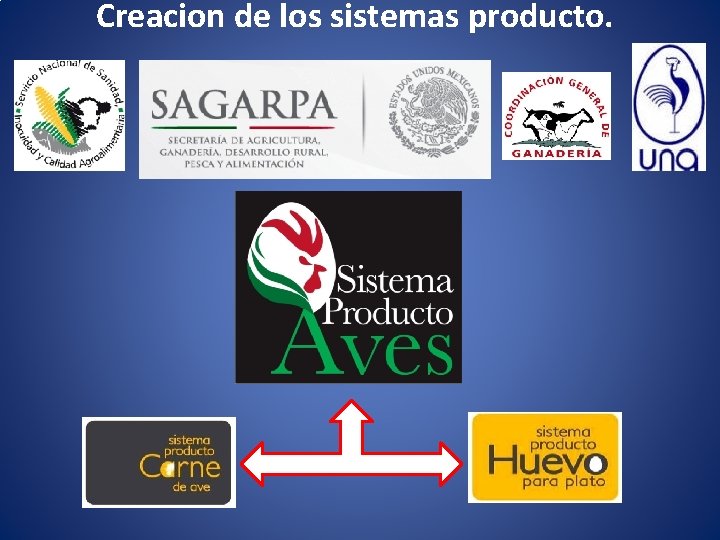 Creacion de los sistemas producto. 