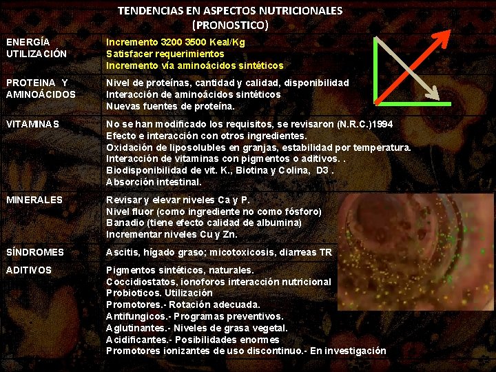 TENDENCIAS EN ASPECTOS NUTRICIONALES (PRONOSTICO) ENERGÍA UTILIZACIÓN Incremento 3200 3500 Keal/Kg Satisfacer requerimientos Incremento