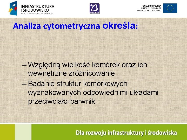 Analiza cytometryczna określa: – Względną wielkość komórek oraz ich wewnętrzne zróżnicowanie – Badanie struktur