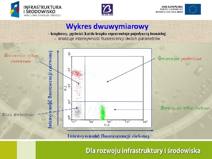 Wykres dwuwymiarowy - kropkowy, gęstości (każda kropka reprezentuje pojedynczą komórkę) - analizuje intensywność fluorescencji
