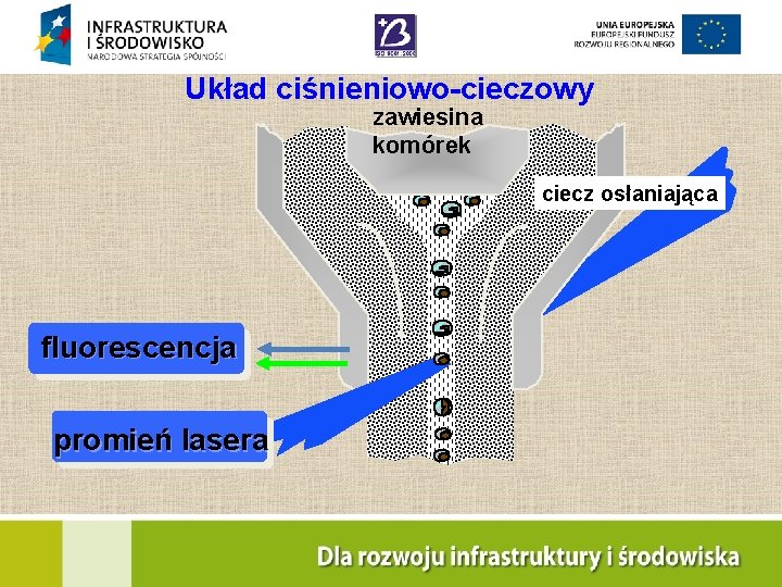 Układ ciśnieniowo-cieczowy zawiesina komórek ciecz osłaniająca fluorescencja promień lasera wg Purdue University Cytometry Laboratories
