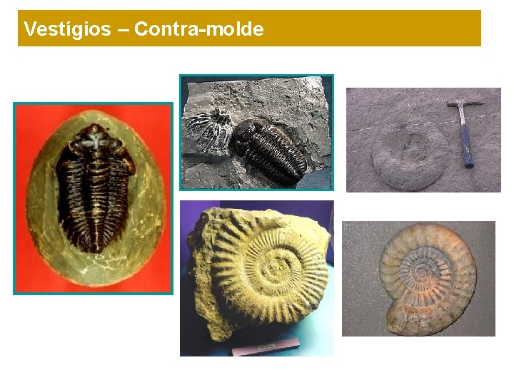 Vestígios – Contra-molde 