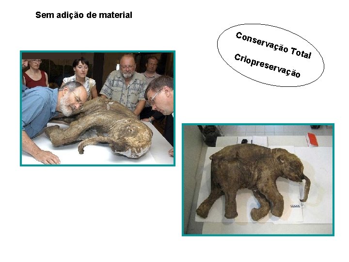 Sem adição de material Con serv Crio pres ação erva Tota ção l 