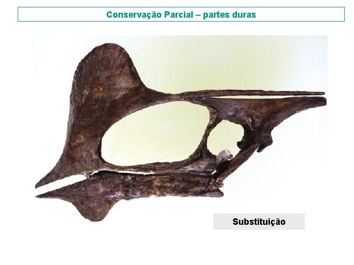 Conservação Parcial – partes duras Substituição 