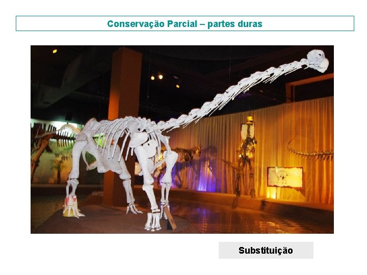 Conservação Parcial – partes duras Substituição 