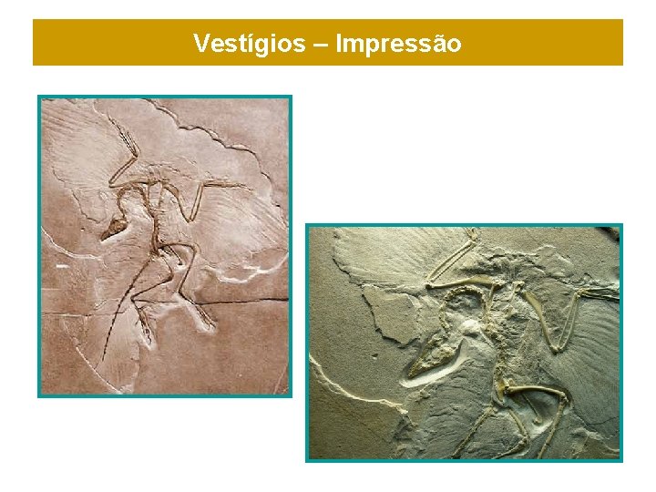 Vestígios – Impressão 