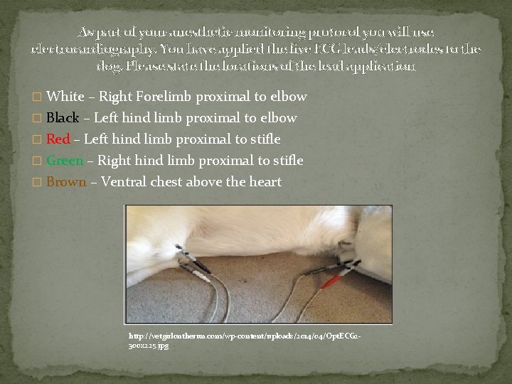 As part of your anesthetic monitoring protocol you will use electrocardiography. You have applied As part of your anesthetic monitoring protocol you will use electrocardiography. You have applied