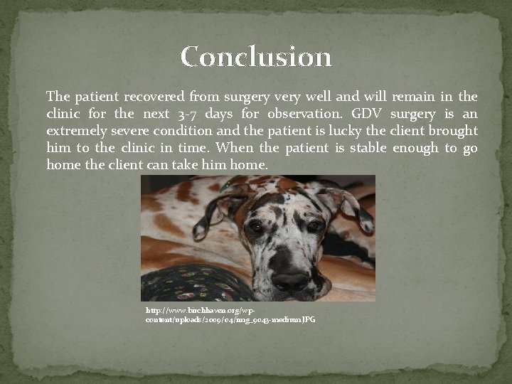 Conclusion The patient recovered from surgery very well and will remain in the clinic Conclusion The patient recovered from surgery very well and will remain in the clinic