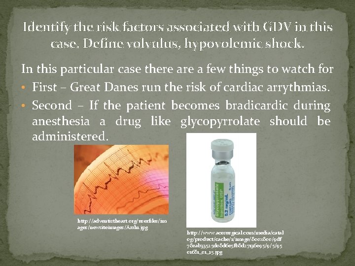 Identify the risk factors associated with GDV in this case. Define volvulus, hypovolemic shock. Identify the risk factors associated with GDV in this case. Define volvulus, hypovolemic shock.