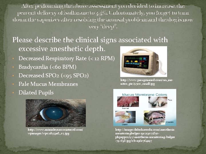 After performing the above assessment you decided to increase the percent delivery of isoflurane After performing the above assessment you decided to increase the percent delivery of isoflurane
