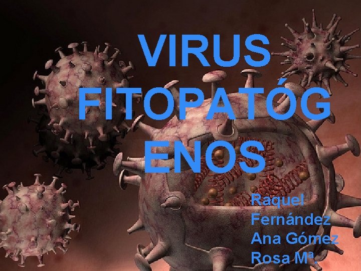 VIRUS FITOPATÓGENOS FITOPATÓG ENOS Raquel Fernández Ana Gómez Rosa Mª. 