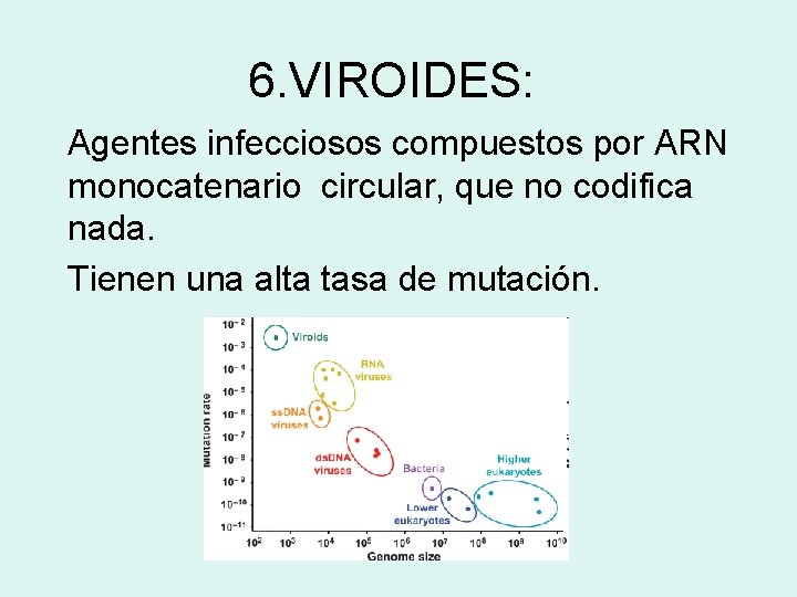 6. VIROIDES: Agentes infecciosos compuestos por ARN monocatenario circular, que no codifica nada. Tienen