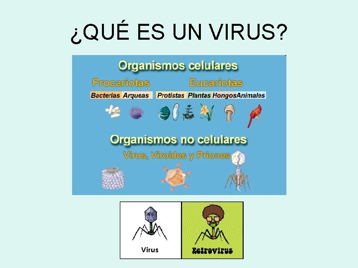 ¿QUÉ ES UN VIRUS? 