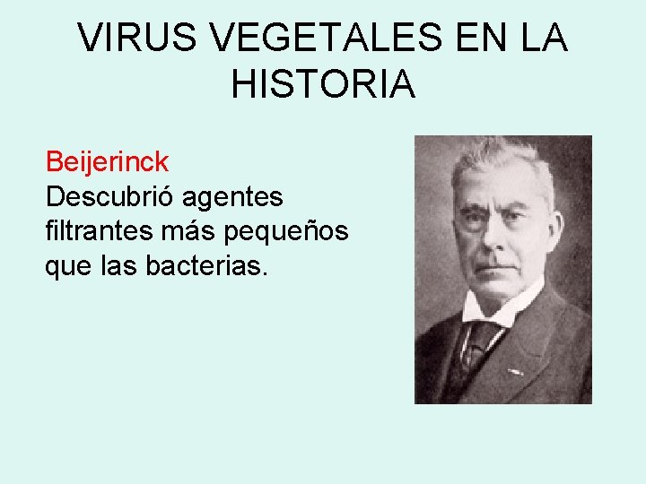 VIRUS VEGETALES EN LA HISTORIA Beijerinck Descubrió agentes filtrantes más pequeños que las bacterias.