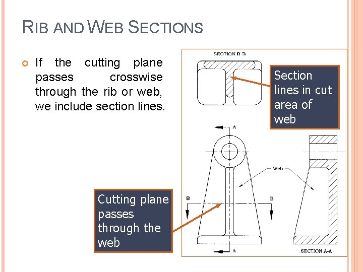 RIB AND WEB SECTIONS If the cutting plane passes crosswise through the rib or