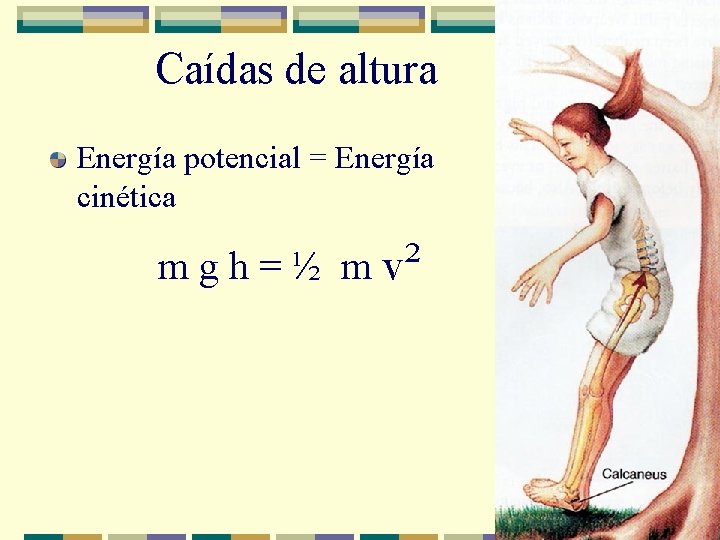 Caídas de altura Energía potencial = Energía cinética m g h = ½ m