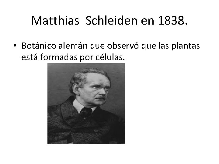 Matthias Schleiden en 1838. • Botánico alemán que observó que las plantas está formadas