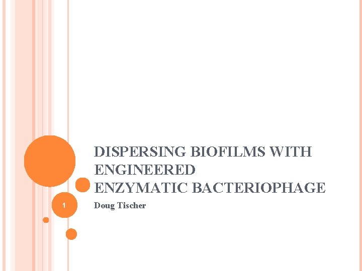 DISPERSING BIOFILMS WITH ENGINEERED ENZYMATIC BACTERIOPHAGE 1 Doug Tischer 