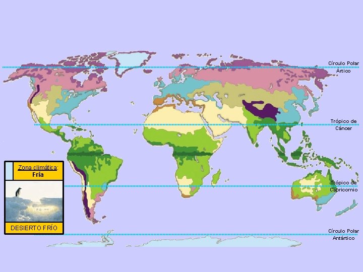 Círculo Polar Ártico Trópico de Cáncer Zona climática: Fría Trópico de Capricornio DESIERTO FRÍO