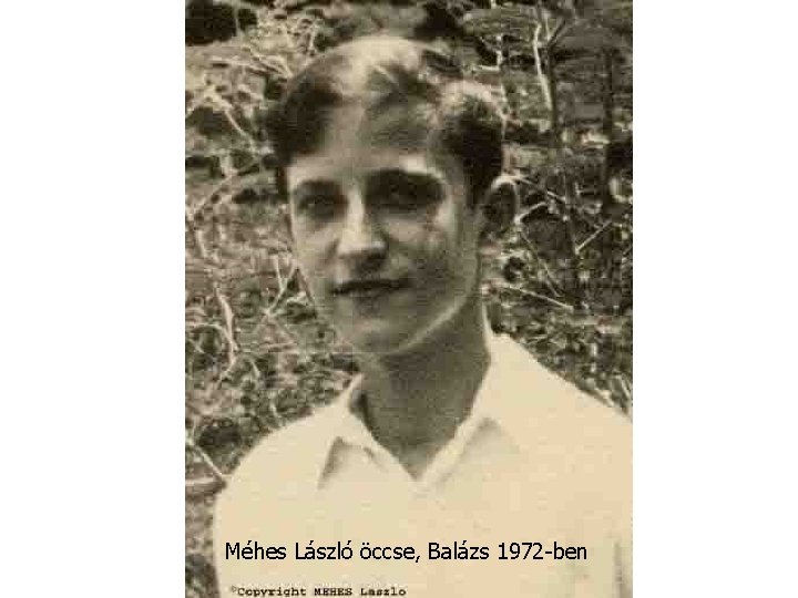 Méhes László öccse, Balázs 1972 -ben 