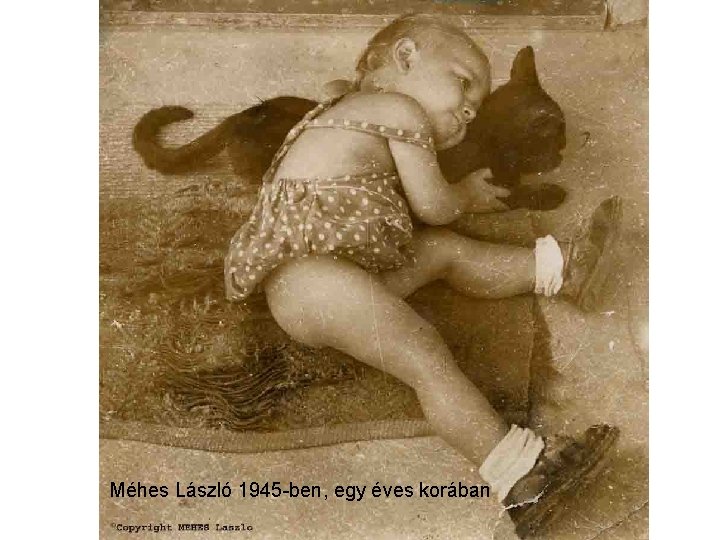 Méhes László 1945 -ben, egy éves korában 