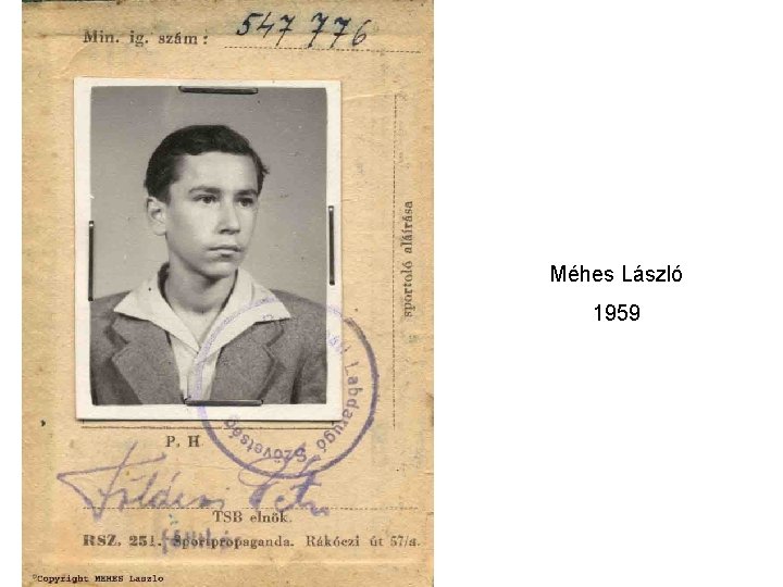 Méhes László 1959 