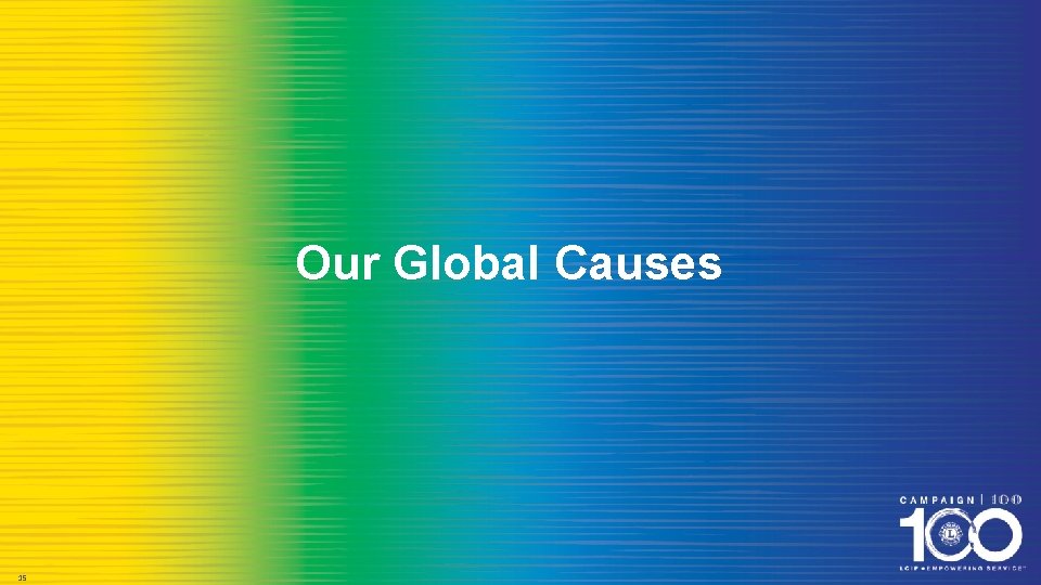 Our Global Causes 15 