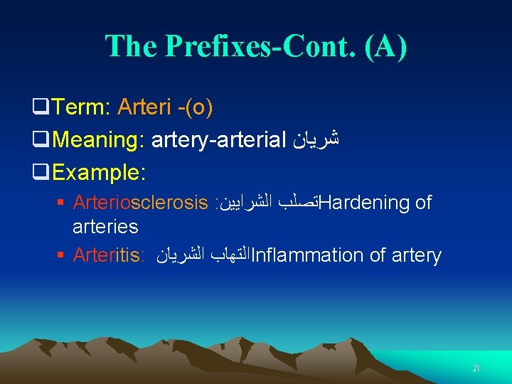 The Prefixes-Cont. (A) q. Term: Arteri -(o) q. Meaning: artery-arterial ﺷﺮﻳﺎﻥ q. Example: §