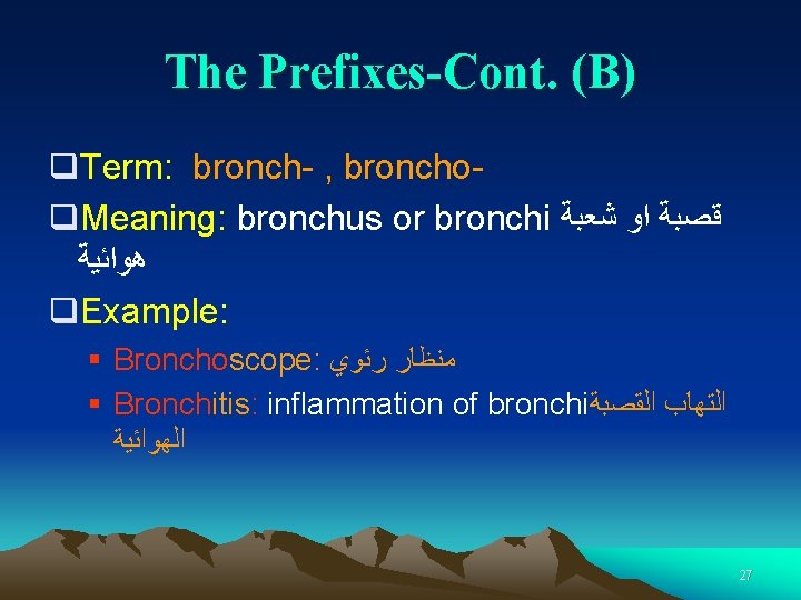 The Prefixes-Cont. (B) q. Term: bronch- , bronchoq. Meaning: bronchus or bronchi ﻗﺼﺒﺔ ﺍﻭ