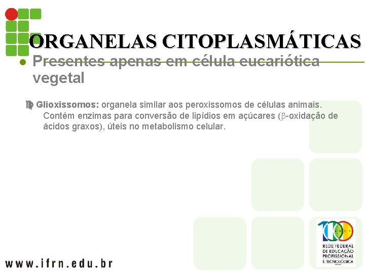 ORGANELAS CITOPLASMÁTICAS l Presentes apenas em célula eucariótica vegetal Glioxissomos: organela similar aos peroxissomos