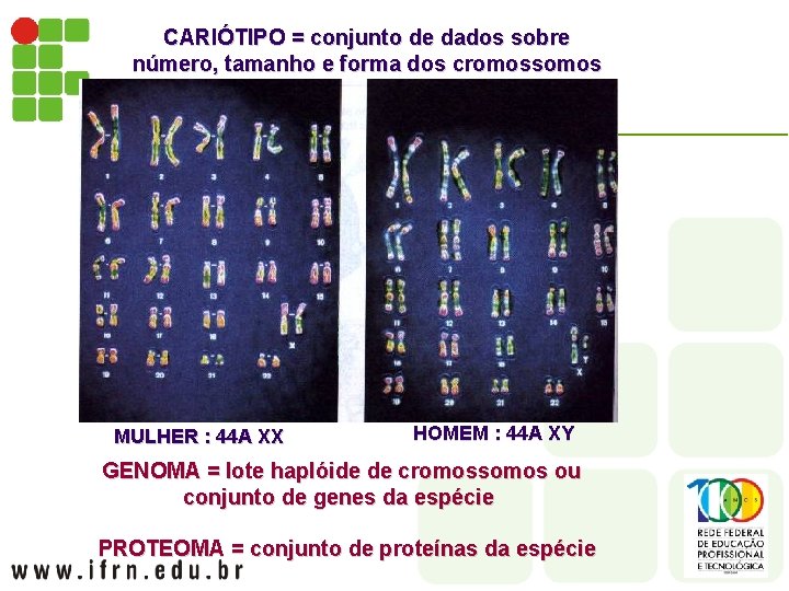 CARIÓTIPO = conjunto de dados sobre número, tamanho e forma dos cromossomos MULHER :