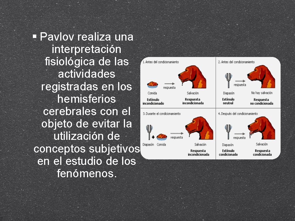  Pavlov realiza una interpretación fisiológica de las actividades registradas en los hemisferios cerebrales