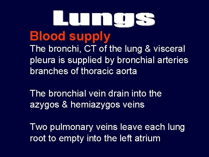 Blood supply The bronchi, CT of the lung & visceral pleura is supplied by