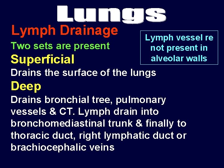 Lymph Drainage Two sets are present Superficial Lymph vessel re not present in alveolar