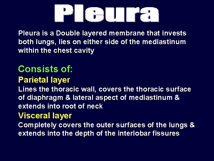 Pleura is a Double layered membrane that invests both lungs, lies on either side