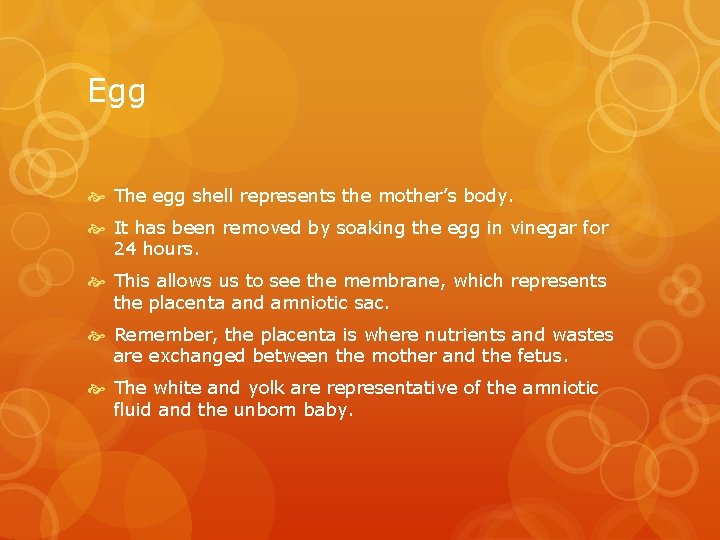 Egg The egg shell represents the mother’s body. It has been removed by soaking Egg The egg shell represents the mother’s body. It has been removed by soaking
