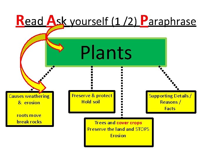 Read Ask yourself (1 /2) Paraphrase Plants Causes weathering & erosion roots move break