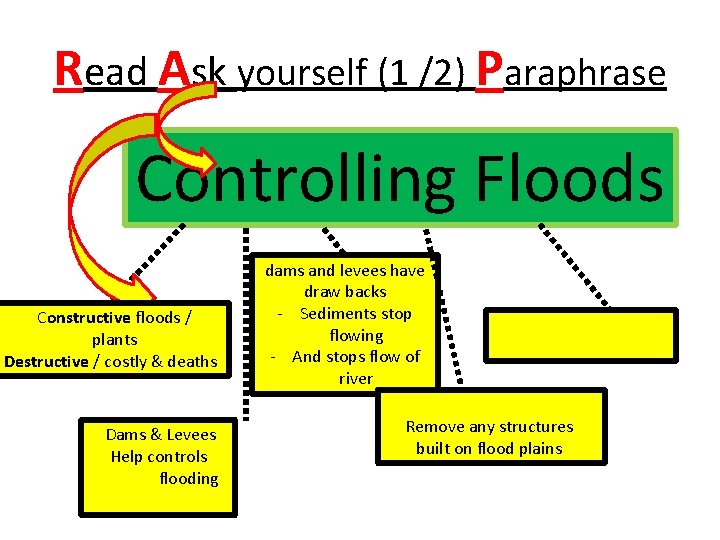 Read Ask yourself (1 /2) Paraphrase Controlling Floods Constructive floods / plants Destructive /