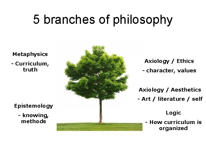 5 branches of philosophy Metaphysics - Curriculum, truth Axiology / Ethics - character, values 5 branches of philosophy Metaphysics - Curriculum, truth Axiology / Ethics - character, values