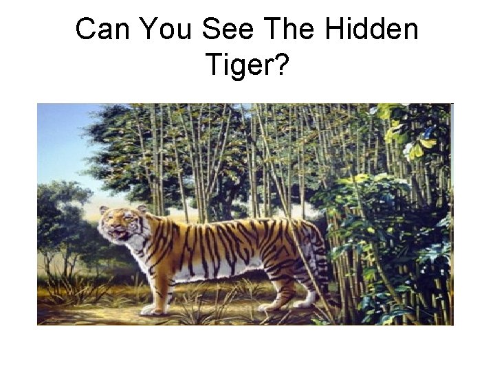 Can You See The Hidden Tiger? Can You See The Hidden Tiger?