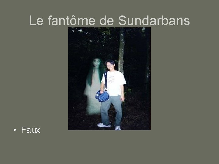 Le fantôme de Sundarbans • Faux 