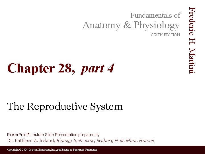Anatomy & Physiology SIXTH EDITION Chapter 28, part 4 The Reproductive System Power. Point®